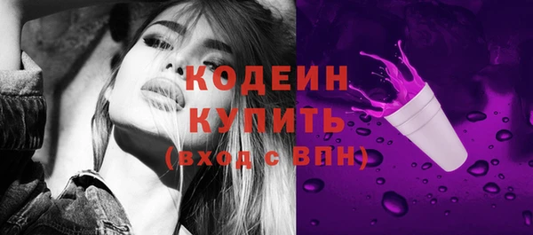 spice Гусев