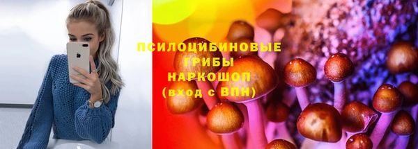 spice Гусев