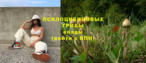 spice Гусев