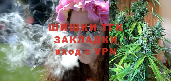 гашик Гусиноозёрск
