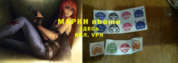 spice Гусев