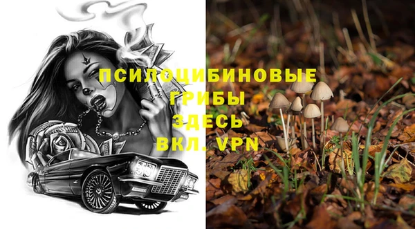 гашик Гусиноозёрск