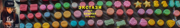 spice Гусев
