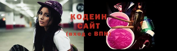гашик Гусиноозёрск