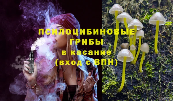 spice Гусев