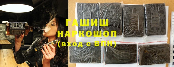 spice Гусев