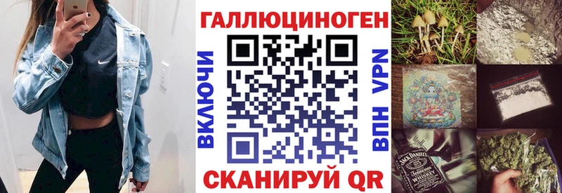 Купить закладки  Трубчевск  Галлюциногенные грибы Psilocybe 